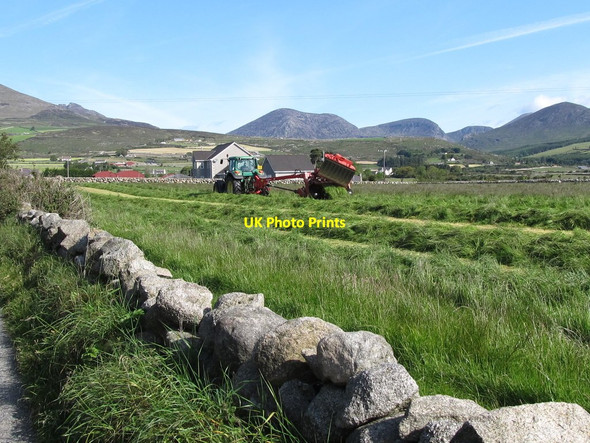 Photo 6"x4" Hay making off Oldtown Road (2) Annalong c2011