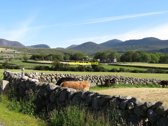 Photo 6"x4" Farmland east of Oldtown Road Annalong c2011