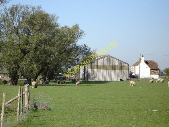 Photo 6"x4" Farm buildings Newchurch\/TR0531 c2007