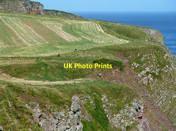 Photo 6"x4" Walkers on the Berwickshire Coastal Path Eyemouth c2012