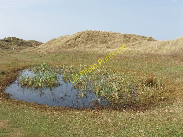 Photo 6"x4" Pool in Ainsdale dunes, natterjack toad habitat. Ainsdale-on-Sea c2007