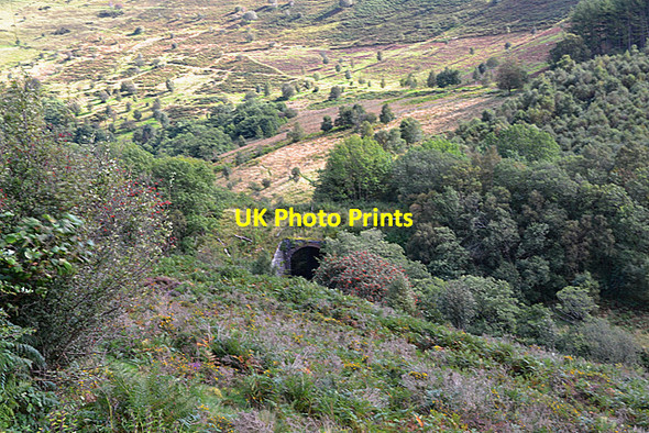 Photo 6"x4" Old railway bridge over the Marteg Nantserth c2012