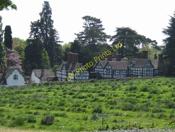 Photo 6"x4" Lavender Field Astley Abbotts c2007