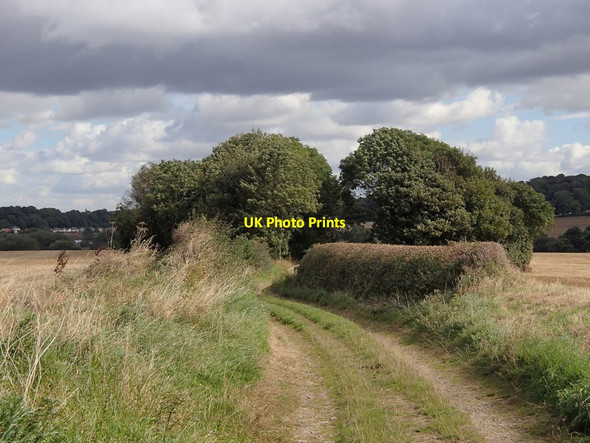 Photo 6"x4" View along Back Lane Maltby\/SK5292 c2012