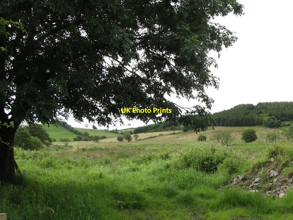 Photo 6"x4" Inter-drumlin wetland at Killatee Madabawn c2012