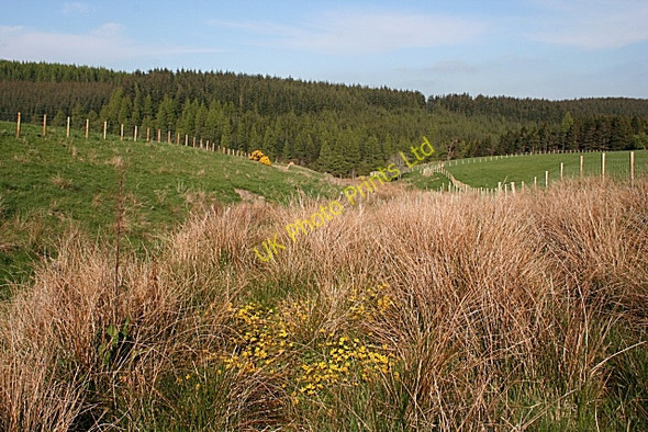 Photo 6"x4" Backhill of Kininvie Drummuir\/NJ3844 c2007