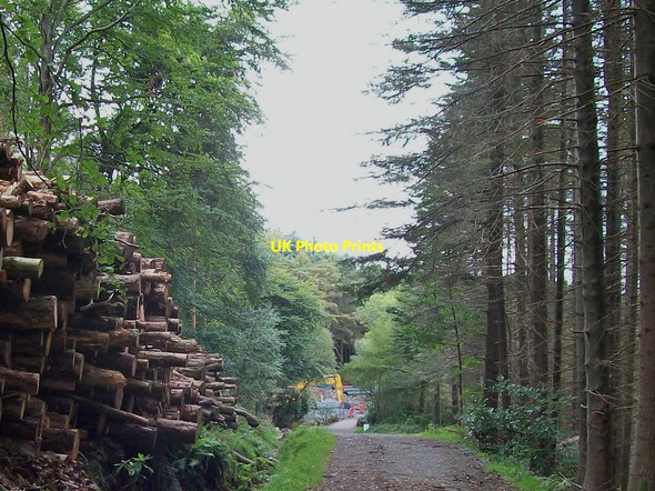 Photo 6"x4" Approaching the HEP site at Craignagore Bridge Newcastle\/J3732 c2012