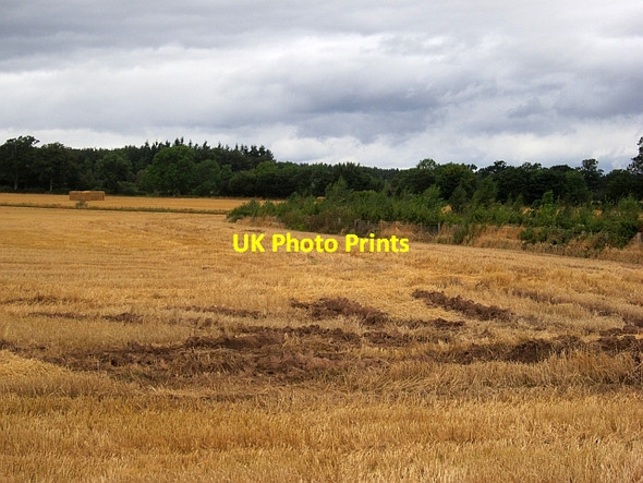 Photo 6"x4" Ruts and stubble, Burrelton Burrelton c2012