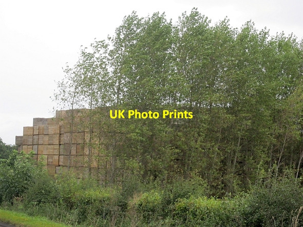 Photo 6"x4" Potato pallets Burrelton c2012