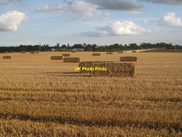 Photo 6"x4" Straw bales near Skidby Skidby c2012