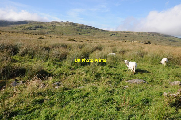 Photo 6"x4" Rough grazing in Cwm Eigiau Llanbedr-y-cennin c2012