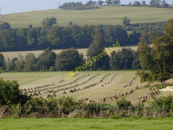 Photo 6"x4" Weald and Downland Museum Singleton Charlton\/SU8812 c2002