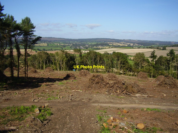 Photo 6"x4" All gone Sidmouth c2012