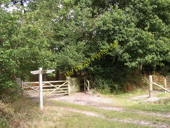 Photo 6"x4" Bridleway junction at the southern edge of Roydon Woods, New Forest Sandy Down c2005