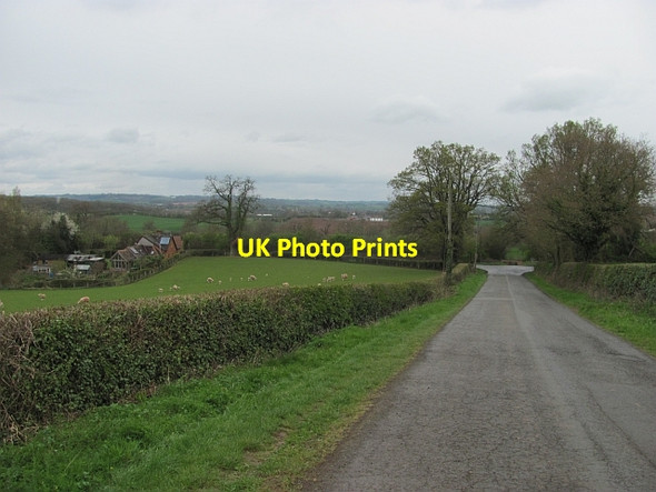Photo 6"x4" Lane, Upper Egleton Green Lane\/SO6245 c2012
