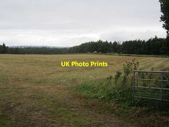 Photo 6"x4" Field, Laystone Burrelton c2012