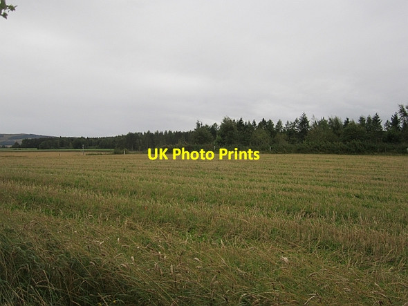 Photo 6"x4" Stubble, Layton Burrelton c2012