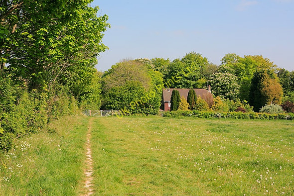 Photo 6"x4" Approaching Church Lane, Exton on the South Downs Way Exton\/SU6121 c2007