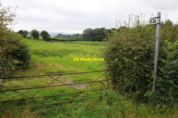 Photo 6"x4" Footpath and field near Castell-gwynt Llandrindod Wells\/Llandrindod c2012