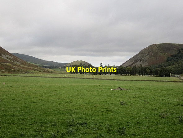 Photo 6"x4" Manor Valley Langhaugh\/NT2031 c2012