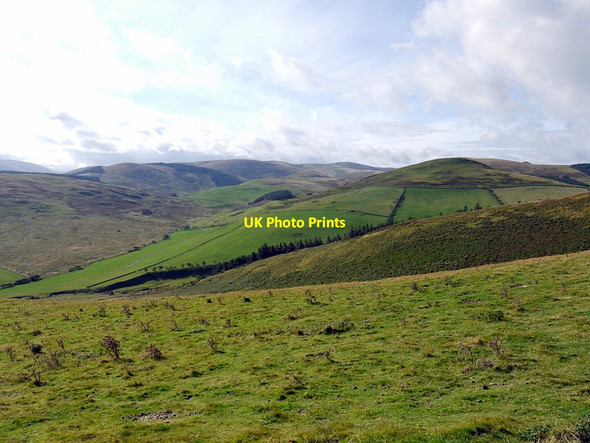 Photo 6"x4" Steep valley below Laddies Knowe Westnewton\/NT9030 c2012