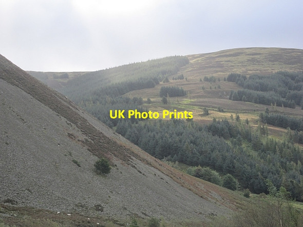 Photo 6"x4" Woodland above Langhaugh Langhaugh\/NT2031 c2012