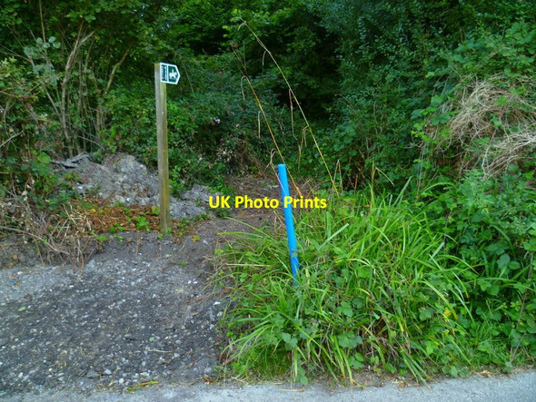 Photo 6"x4" The Orange Way in Dorset and Somerset (189) Goathill c2012