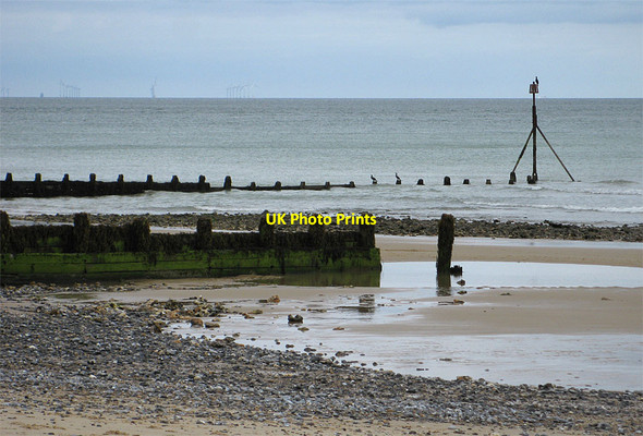 Photo 6"x4" Cormorants on the groyne Cromer\/TG2142 c2012