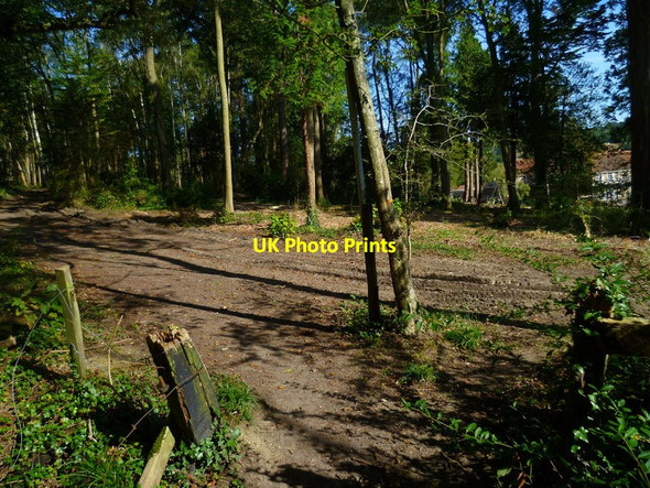 Photo 6"x4" The Orange Way in Dorset and Somerset (200) Milborne Port c2012