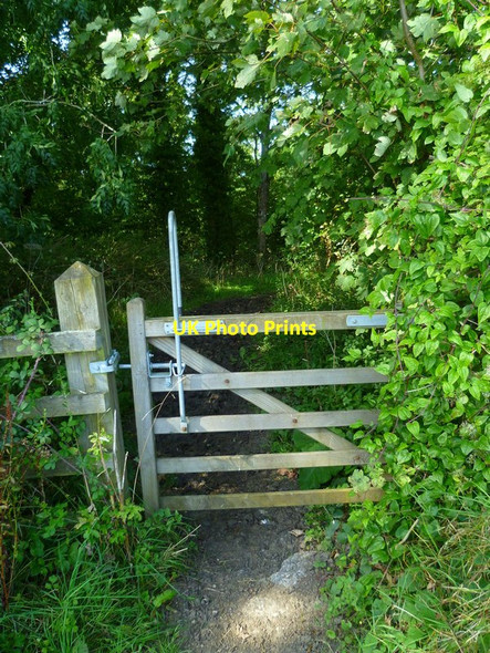 Photo 6"x4" The Orange Way in Dorset and Somerset (208) Henstridge Bowden c2012