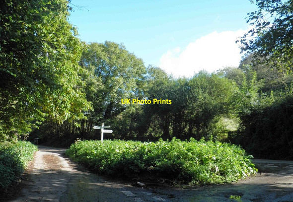Photo 6"x4" Lannacombe Green road junction Bickerton\/SX8138 c2012