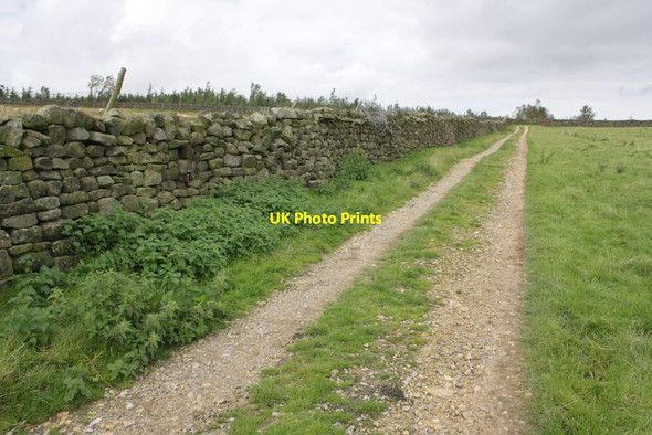 Photo 6"x4" Track leading from Sowden Beck Farm towards Witton Fell East Witton c2012