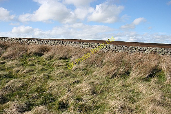 Photo 6"x4" Moss of Rothes Rothes c2007 P1
