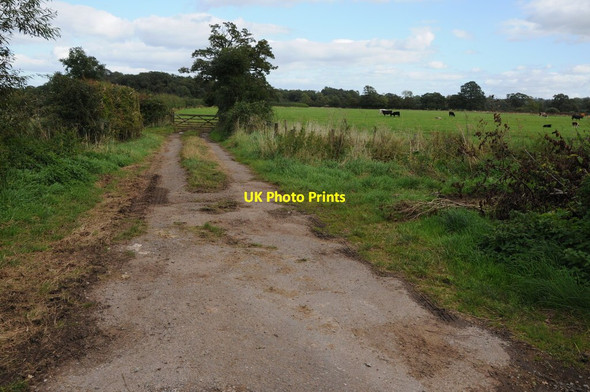 Photo 6"x4" Track off Kington Lane Thornbury\/ST6490 c2012