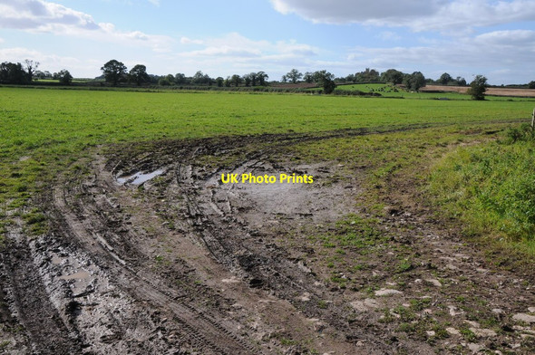 Photo 6"x4" Farmland near Oldbury-on-Severn Cowhill\/ST6091 c2012