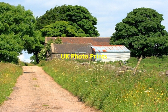 Photo 6"x4" Whitelow Farm Grangemill c2012