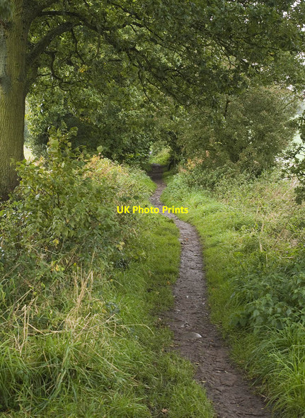 Photo 6"x4" Path south of Blackleyhurst Farm, Billinge Billinge c2012