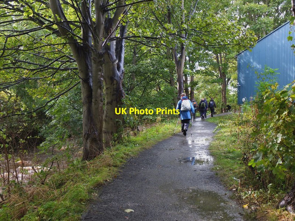 Photo 6"x4" Alongside the Water of Leith Stenhouse\/NT2171 c2012