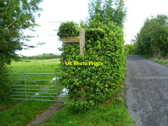 Photo 6"x4" The Orange Way in Dorset and Somerset (267) Wincanton c2012