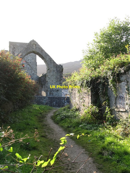 Photo 6"x4" Footpath at the rear of Carlingford Priory Carlingford c2012