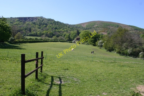 Photo 6"x4" Horse Pasture, Upper Welland Brand Green\/SO7641 c2007