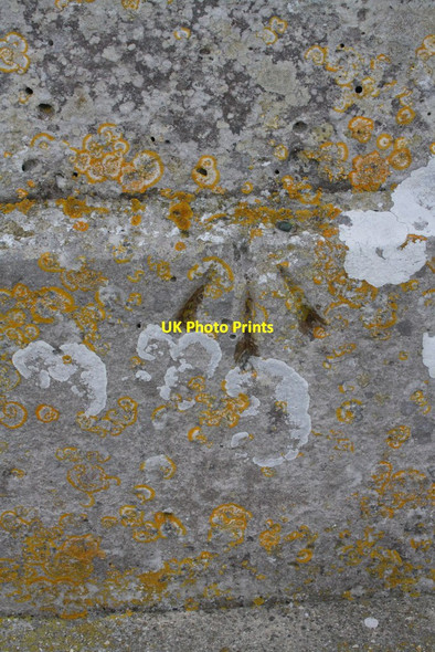 Photo 6"x4" Benchmark on the east end of St George's Church Fortuneswell c2012