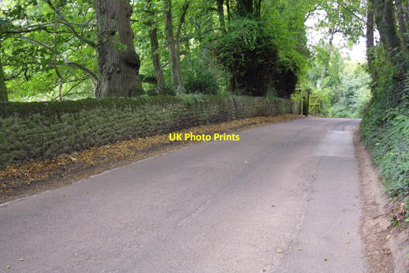 Photo 6"x4" The road to Bradpole from Loders Loders c2012