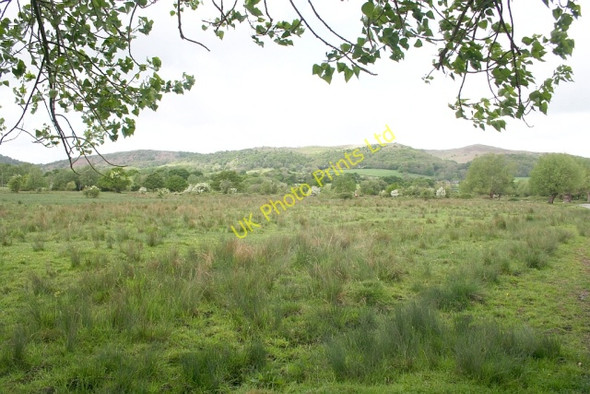 Photo 6"x4" Castlemorton Common Marl Bank c2007