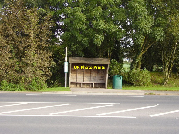 Photo 6"x4" Bus shelter on the A3052 Farringdon\/SY0191 c2012