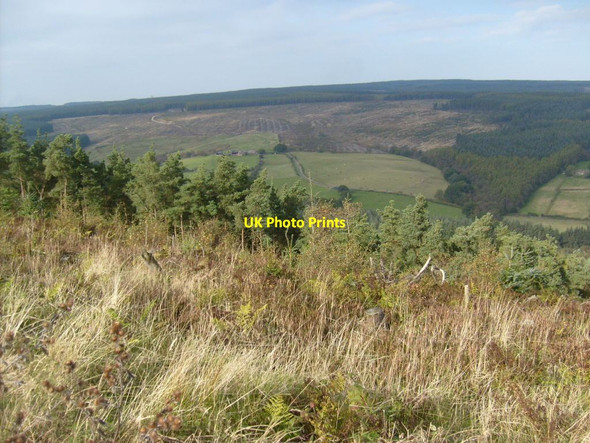 Photo 6"x4" View from forest track School Fm\/SE9092 c2012