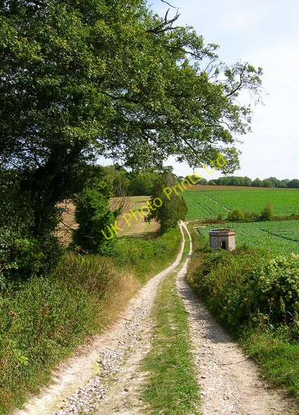 Photo 6"x4" Footpath to Inground Plantation Eartham c2006