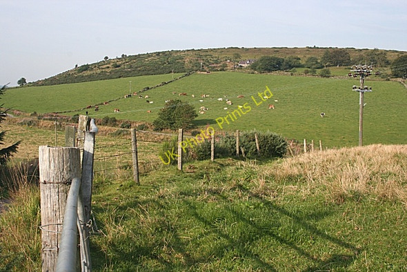 Photo 6"x4" Hill of Lynturk Kirkton of Tough c2006