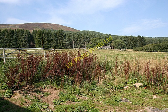 Photo 6"x4" Groddie Cottage Logie Coldstone c2006