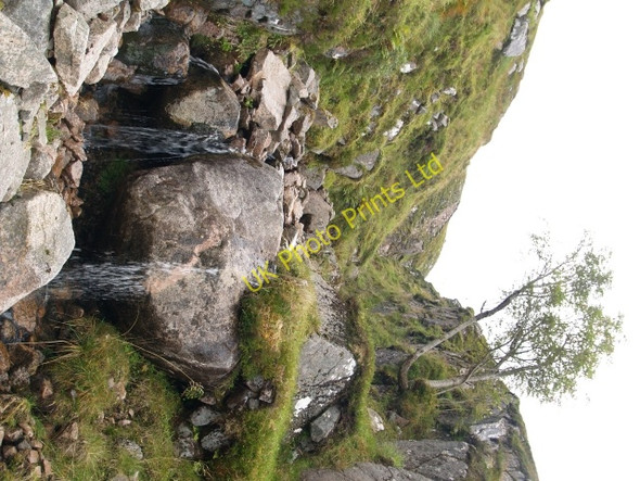 Photo 6"x4" Waterfall and rowan, Eag an Uillt Beinn Chaorach\/NN1545 c2006